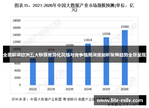 全面解读欧洲五大联赛差异化风格与竞争格局深度剖析发展趋势全景呈现
