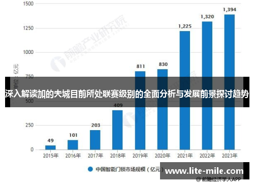 深入解读加的夫城目前所处联赛级别的全面分析与发展前景探讨趋势