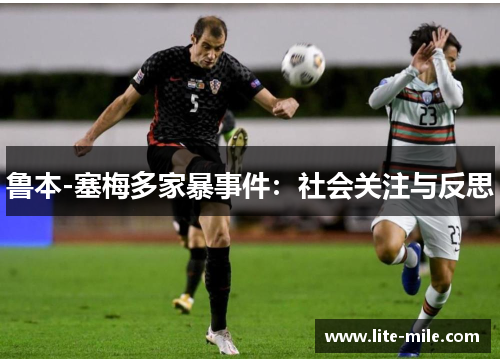 鲁本-塞梅多家暴事件：社会关注与反思