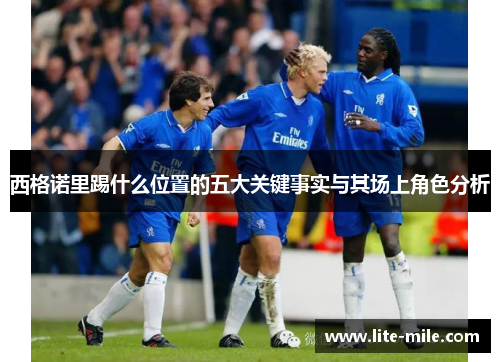 西格诺里踢什么位置的五大关键事实与其场上角色分析