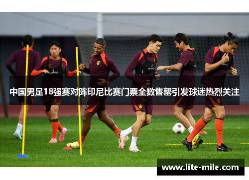 中国男足18强赛对阵印尼比赛门票全数售罄引发球迷热烈关注